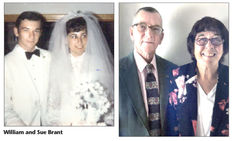 Brants mark golden year